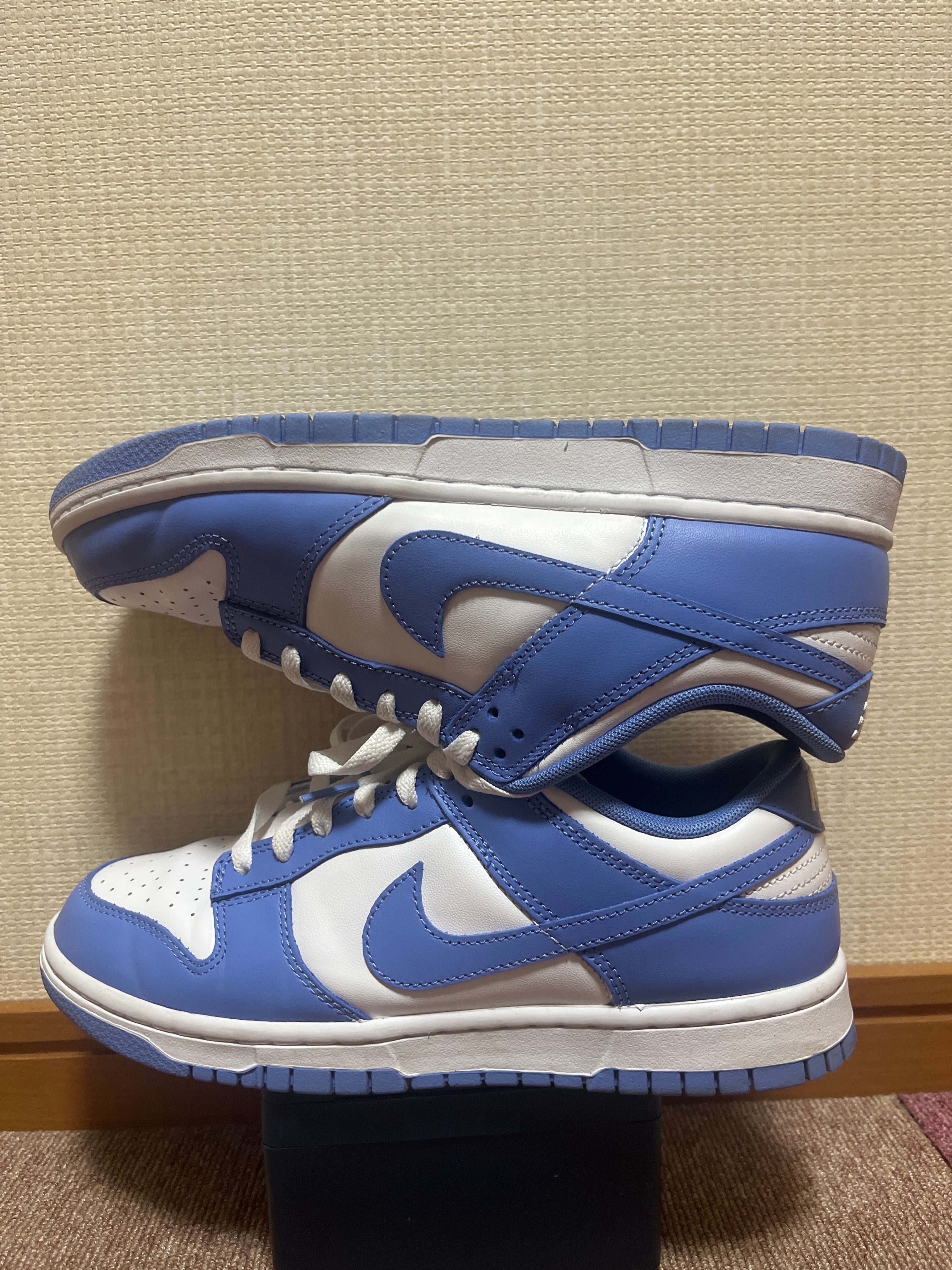 Nike Dunk Low Retro BTTYS "Polar Blue"