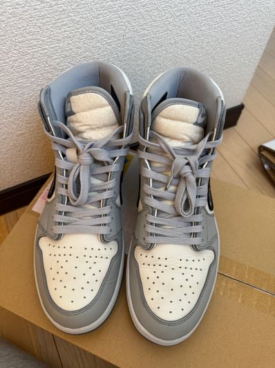 Dior × Nike Air Jordan 1 High OG "DIOR"