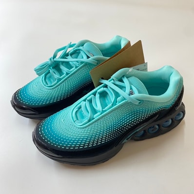Nike Women's Air Max DN PRM "Dusty Cactus/Light Aqua"