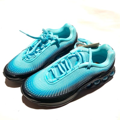 Nike Women's Air Max DN PRM "Dusty Cactus/Light Aqua"