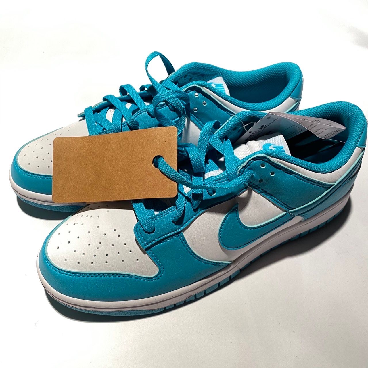 Nike Women's Dunk Low Next Nature "Dusty Cactus"