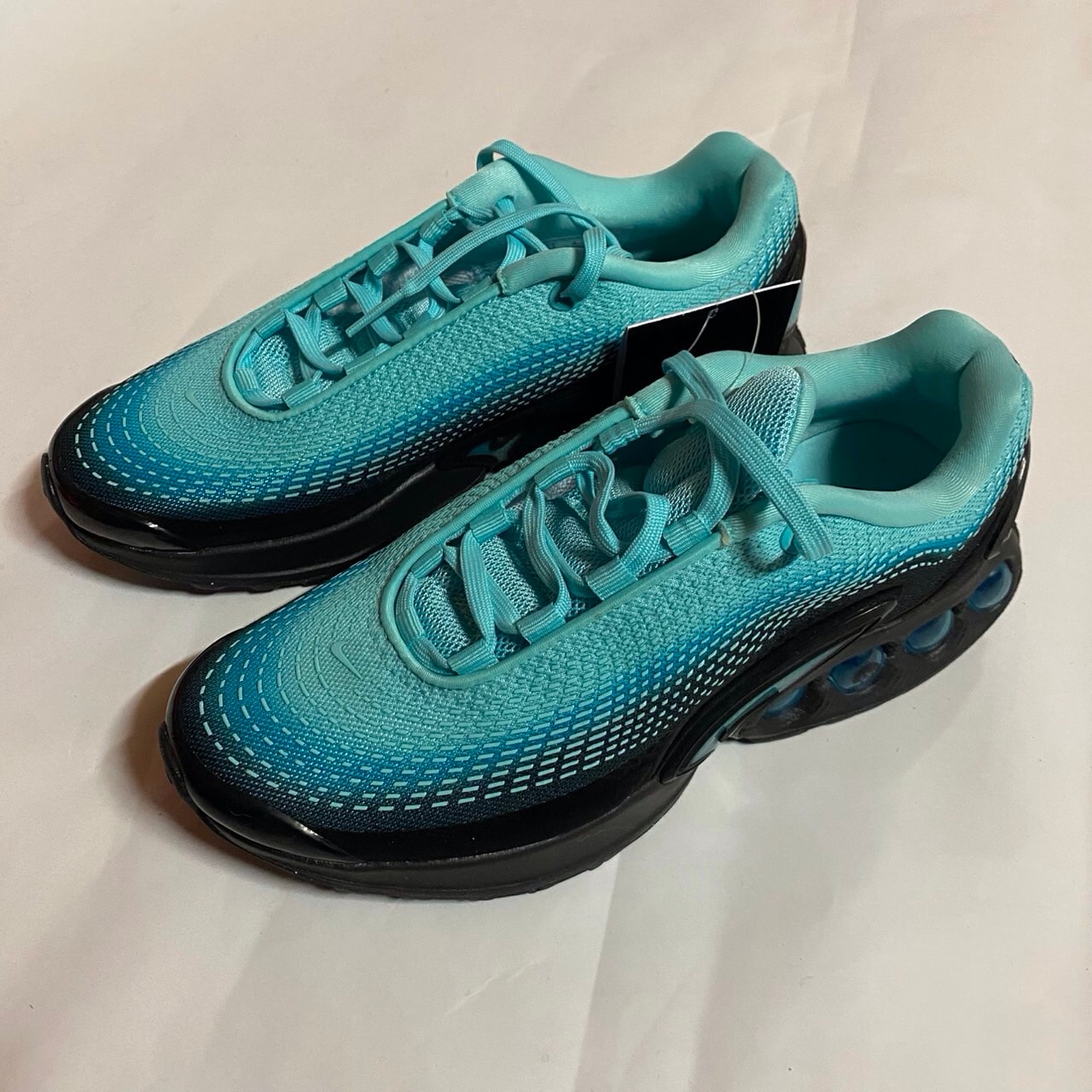 Nike Women's Air Max DN PRM "Dusty Cactus/Light Aqua"