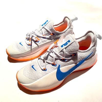 Nike LeBron TR 1 "White/Blue"