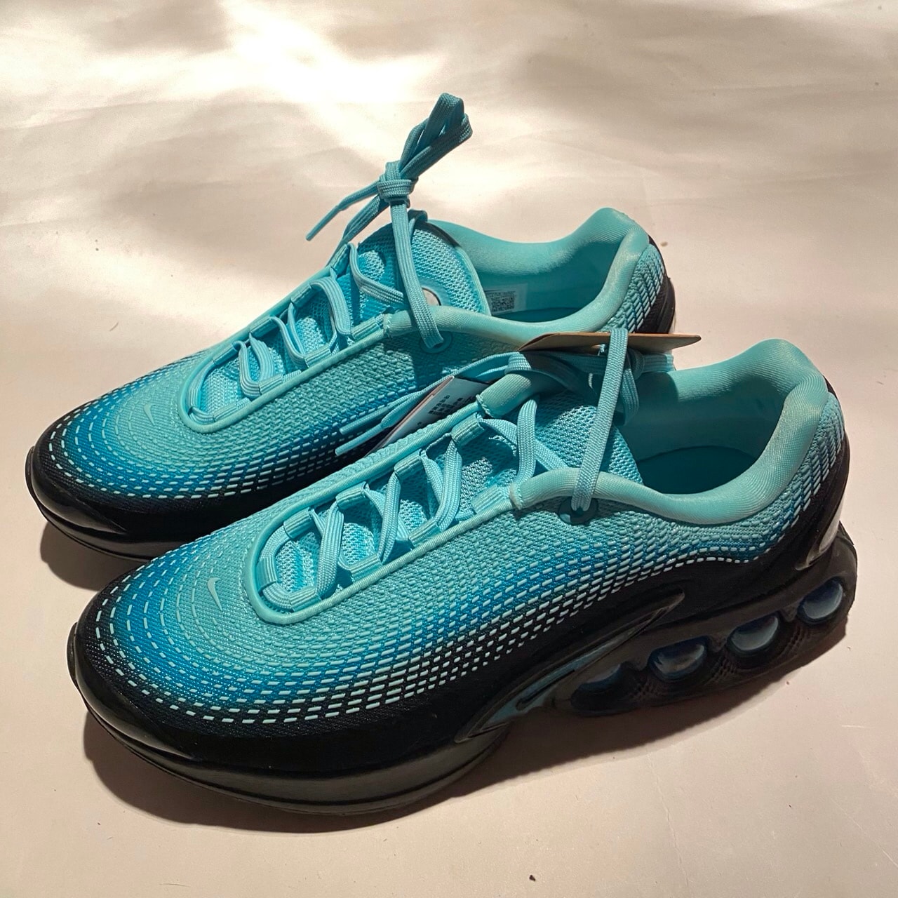 Nike Women's Air Max DN PRM "Dusty Cactus/Light Aqua"