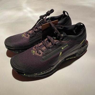 Nike Pegasus Trail 5 GORE-TEX "Black/Phantom/Tattoo/Volt Ice"