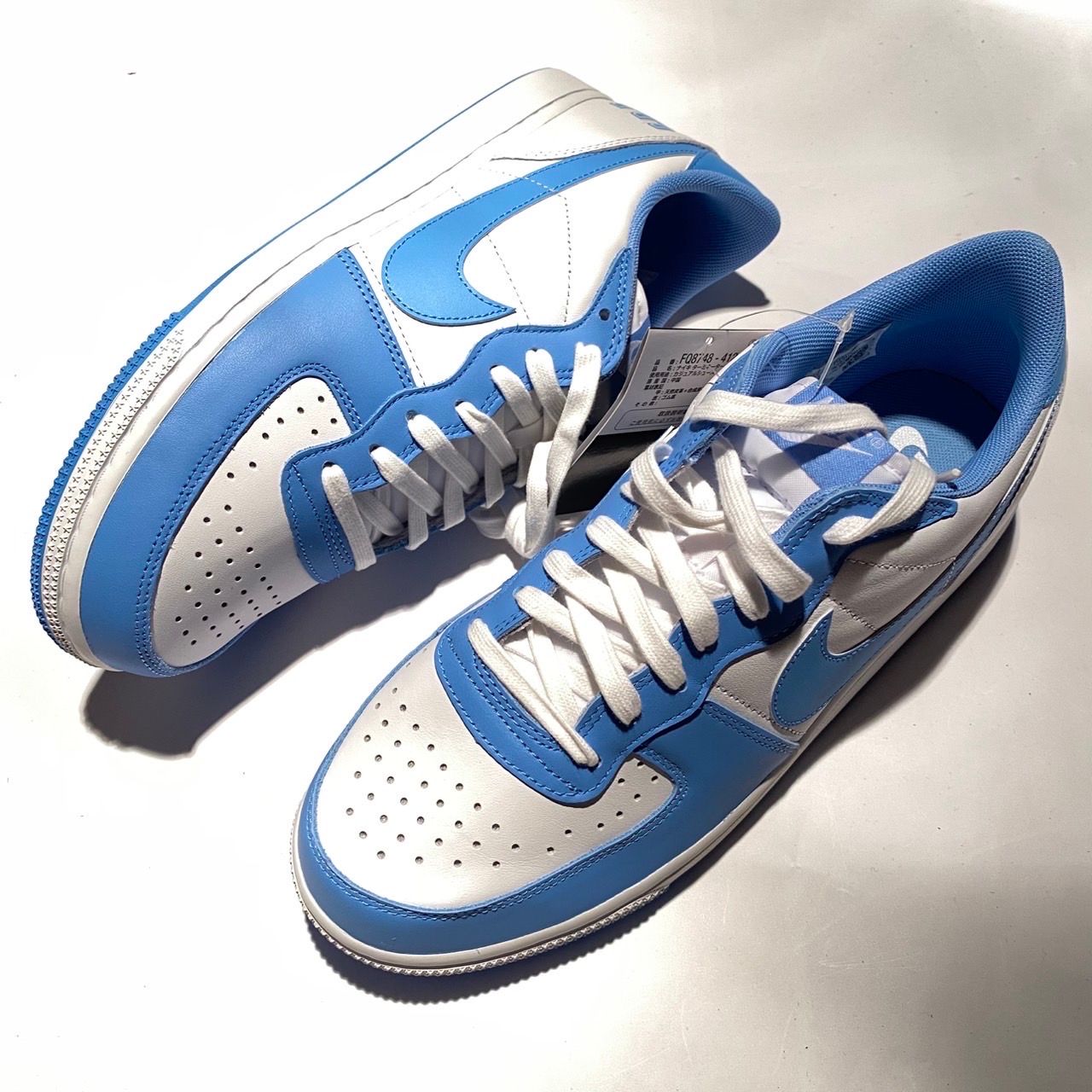Nike Terminator Low "University Blue"