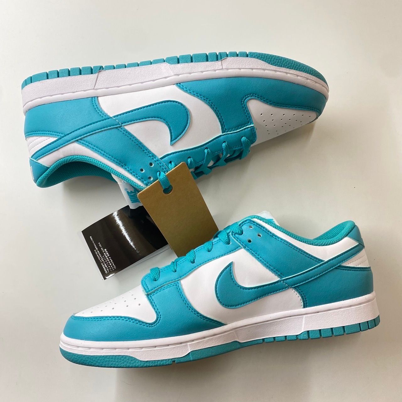 Nike Women's Dunk Low Next Nature "Dusty Cactus"