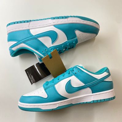 Nike Women's Dunk Low Next Nature "Dusty Cactus"