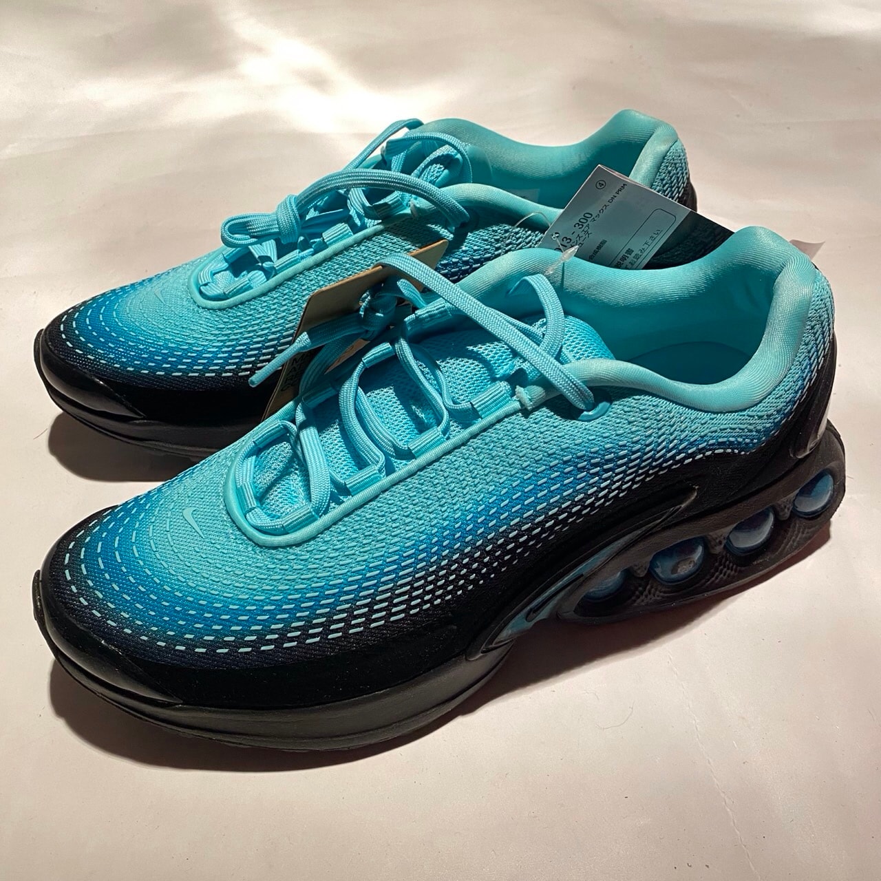Nike Women's Air Max DN PRM "Dusty Cactus/Light Aqua"