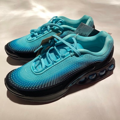 Nike Women's Air Max DN PRM "Dusty Cactus/Light Aqua"