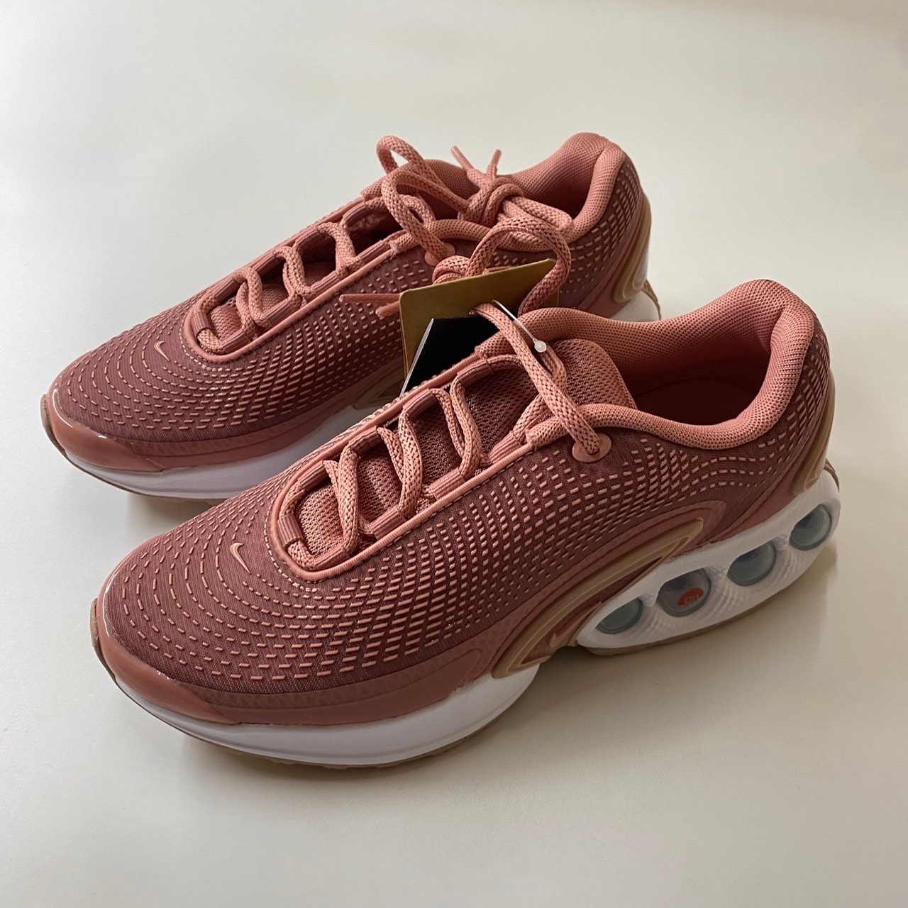 Nike Women's Air Max DN "Red Stardust/Rose Whisper/Rust Pink/Canyon Rust"