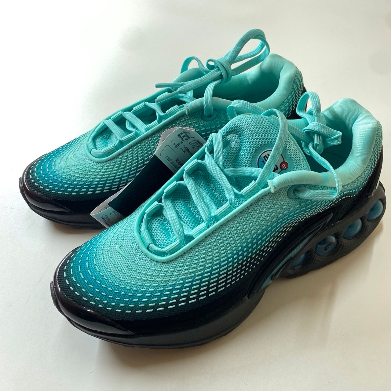 Nike Women's Air Max DN PRM "Dusty Cactus/Light Aqua"