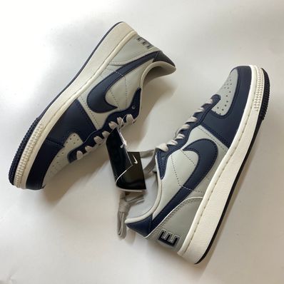 Nike Terminator Low "Dark Obsidian and Granite/Georgetown"(2023)