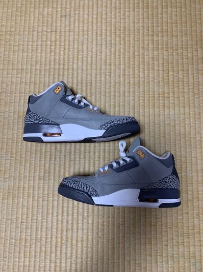Nike Air Jordan 3 "Cool Grey"