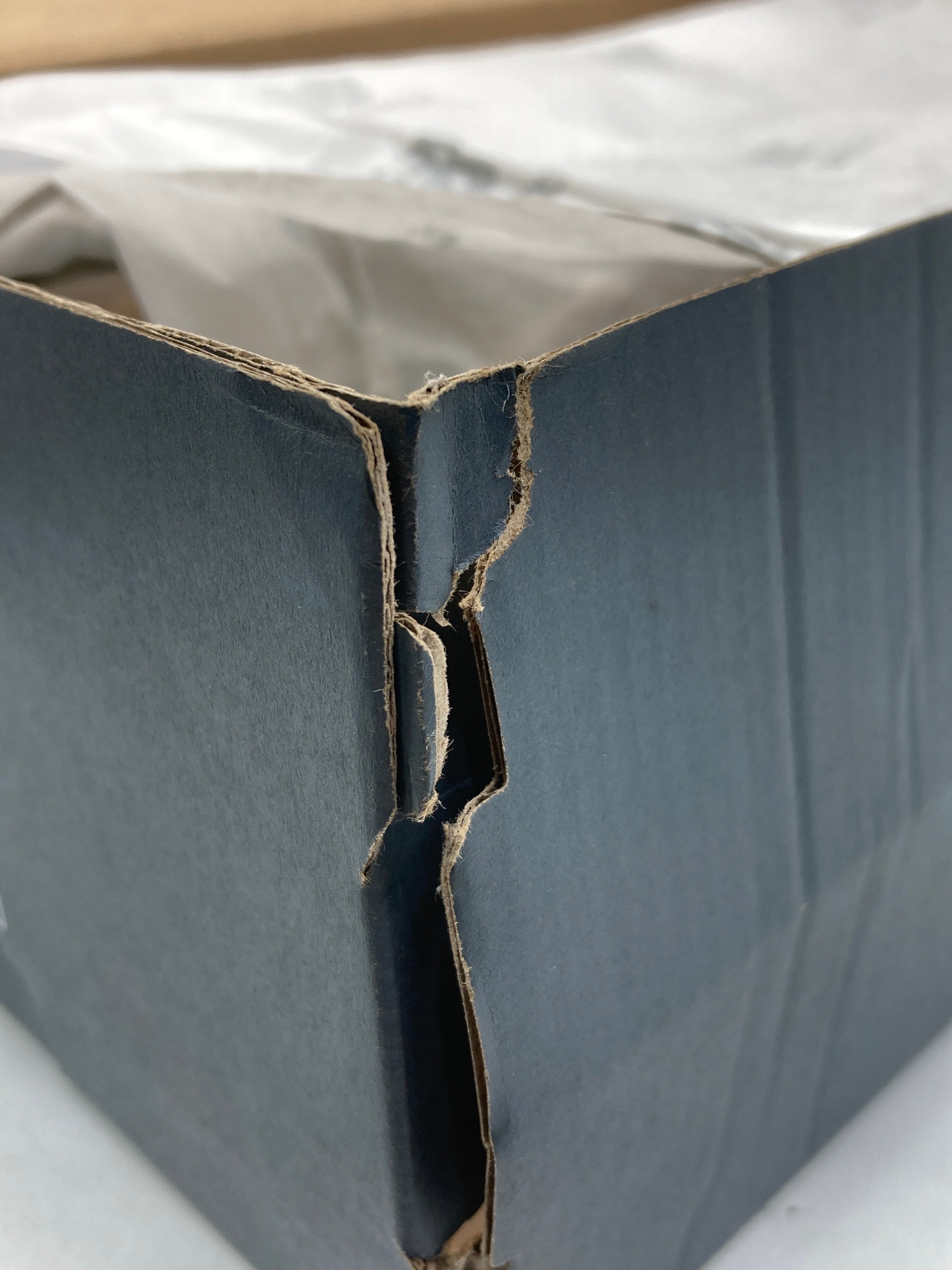 New Balance 204L "Mushroom/Arid Stone"