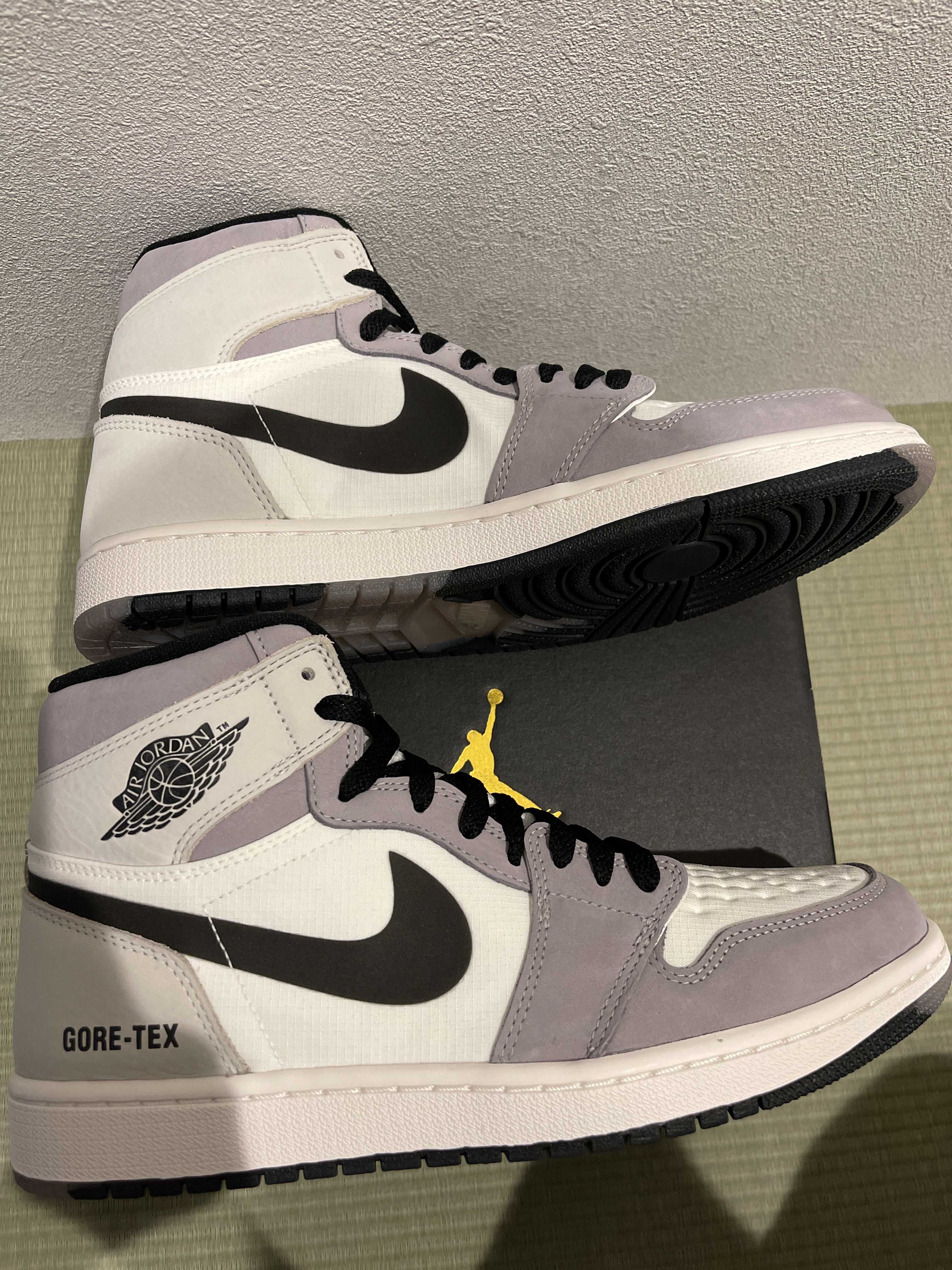 Nike Air Jordan 1 Element GORE-TEX "Sail"