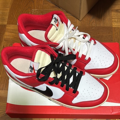 Nike Dunk Low Retro PRM "Chicago Split"