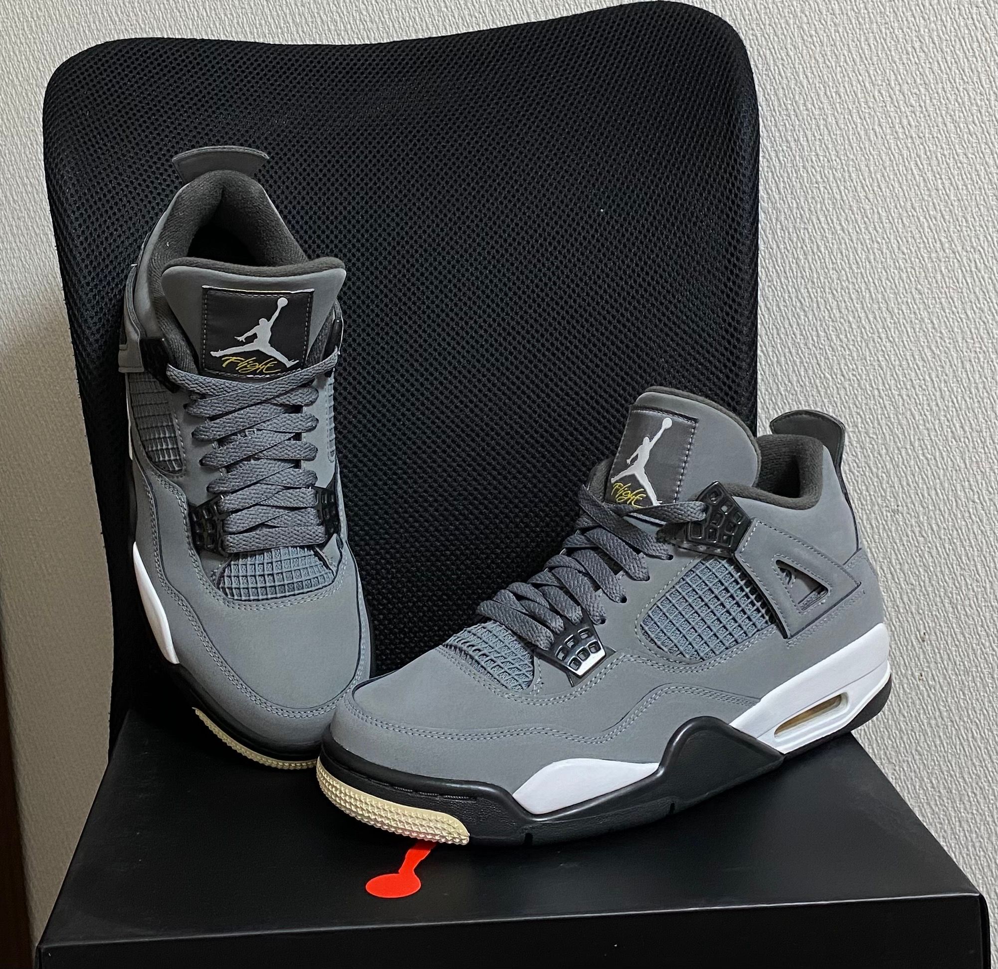 Nike Air Jordan 4 "Cool Grey"