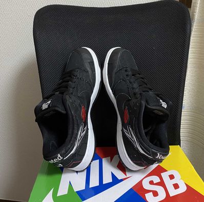 Wasted Youth × Nike SB Dunk Low "Black Denim" / VERDY