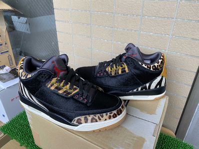Nike Air Jordan 3 Retro SE "Animal Instinct/Safari"