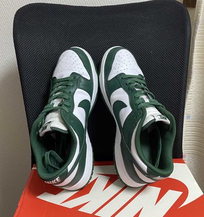 Nike Dunk Low Retro "Varsity Green/Team Green"