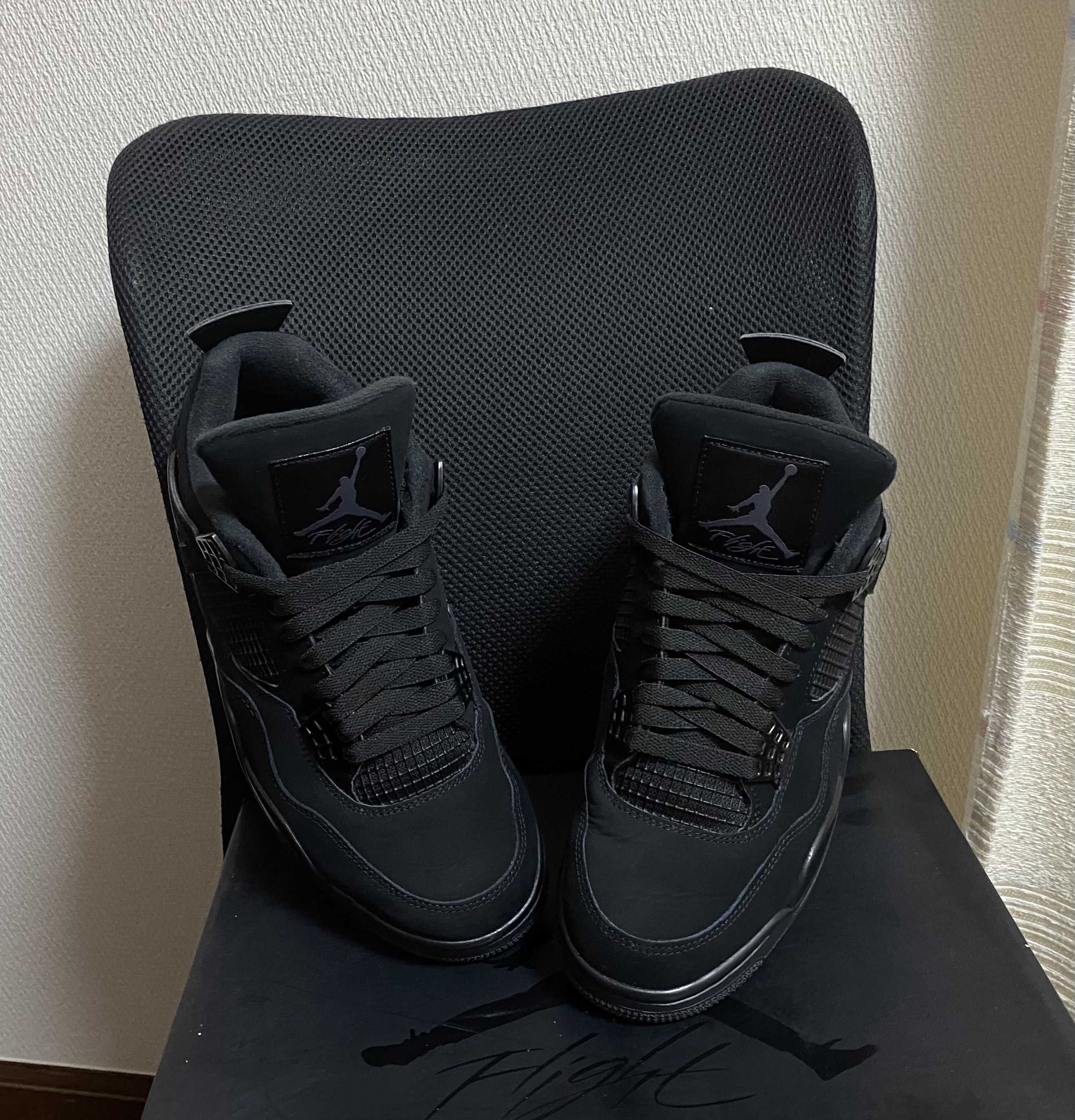 Nike Air Jordan 4 "Black Cat"