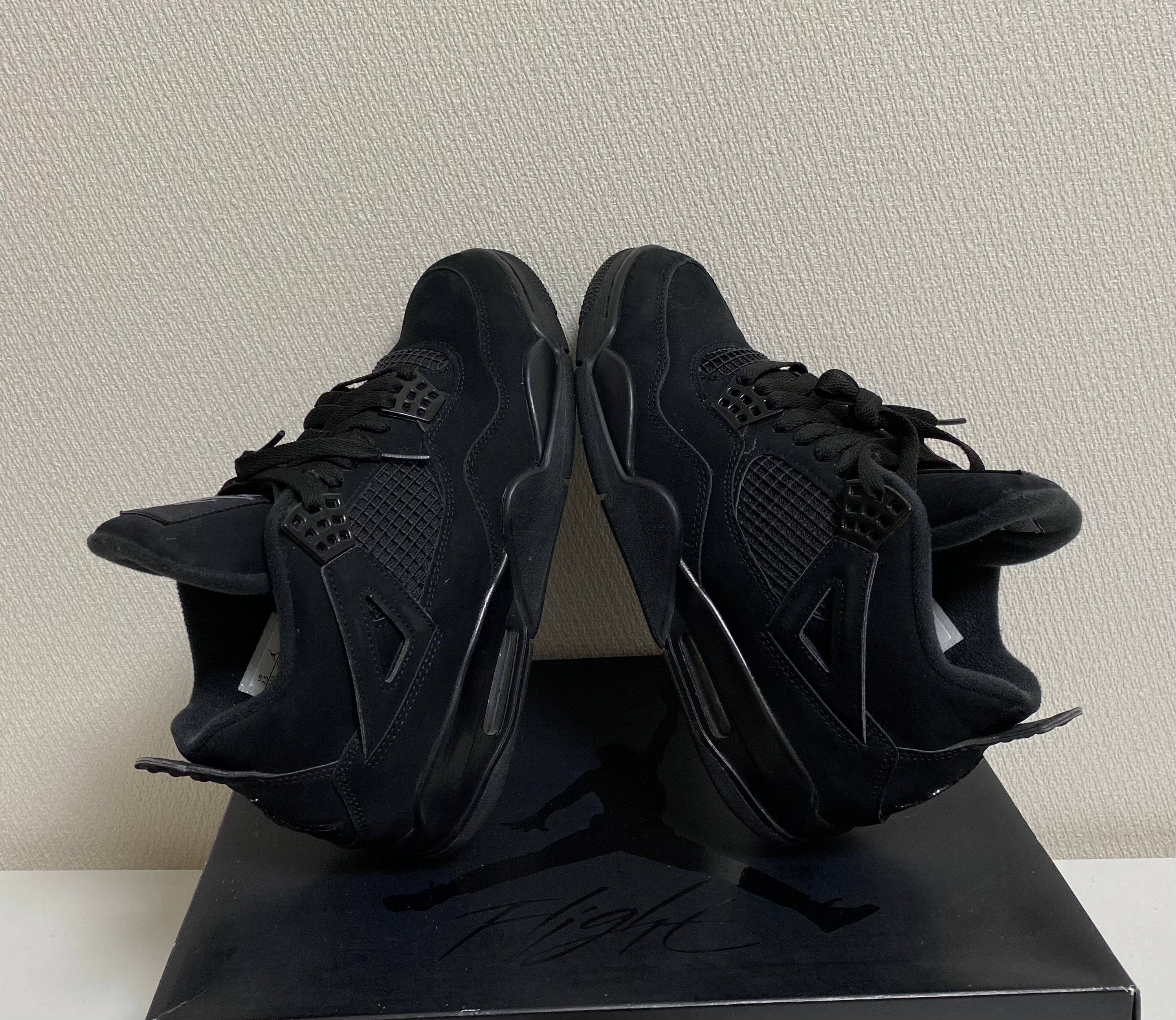 Nike Air Jordan 4 "Black Cat"