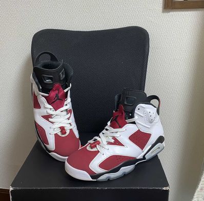 Nike Air Jordan 6 "Carmine" (2021)