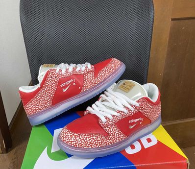 Stingwater × Nike SB Dunk Low "Magic Mushroom"