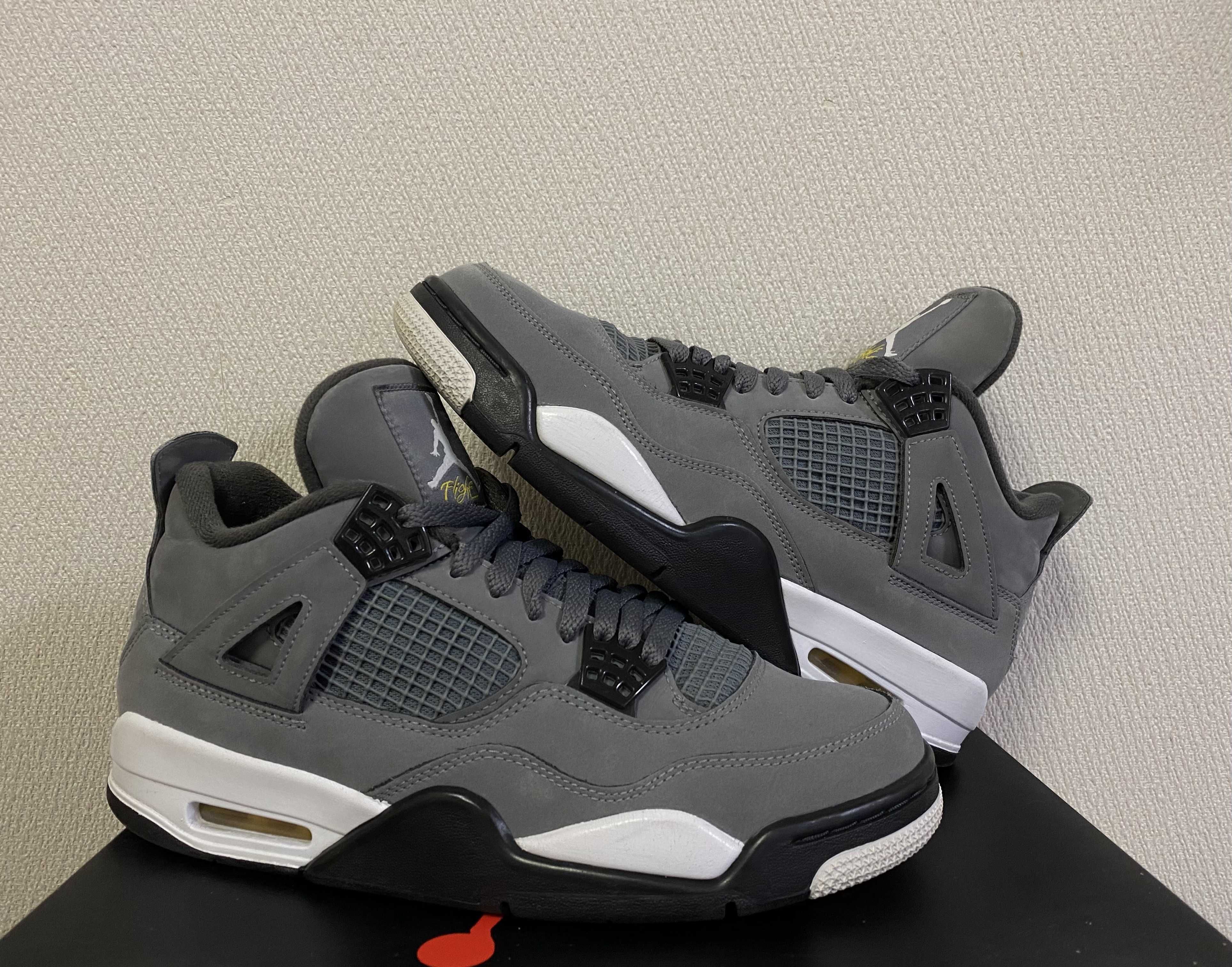 Nike Air Jordan 4 "Cool Grey"