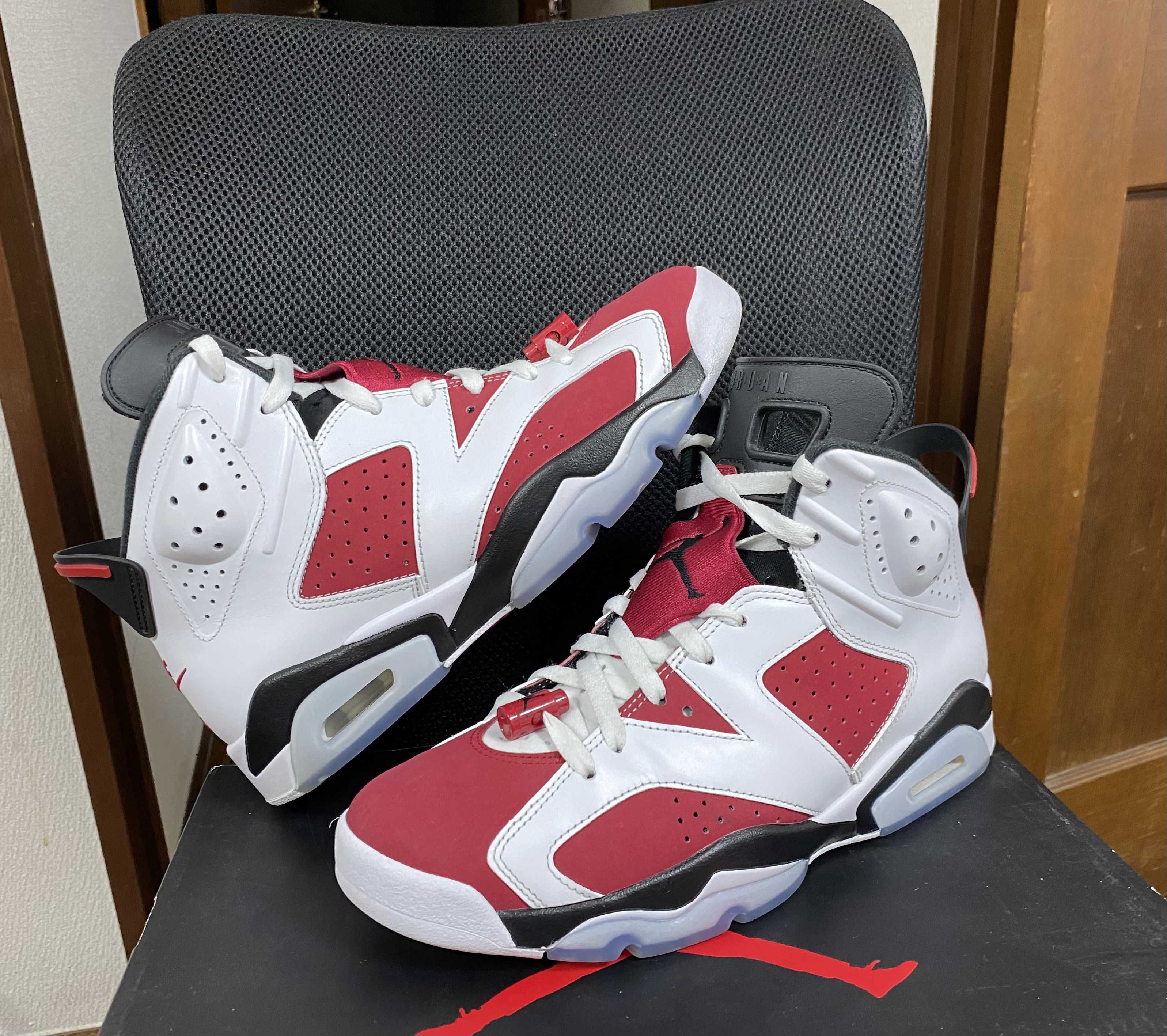 Nike Air Jordan 6 "Carmine" (2021)