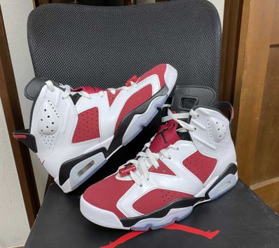 Nike Air Jordan 6 "Carmine" (2021)