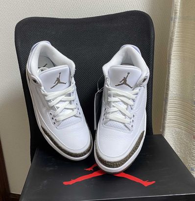 Nike Air Jordan 3 Retro "Mocha" (2018)