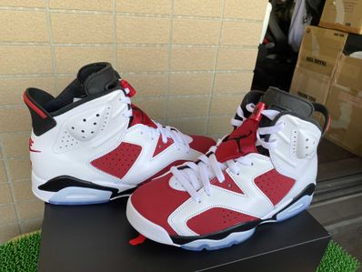 Nike Air Jordan 6 "Carmine" (2021)