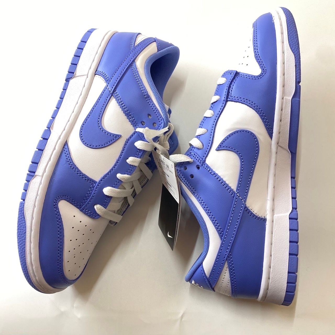 Nike Dunk Low Retro BTTYS "Polar Blue"