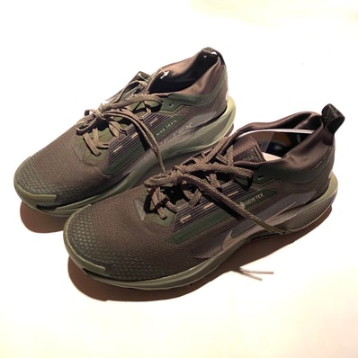 Nike Pegasus Trail 5 GORE-TEX "Sequoia/Cargo Khaki"