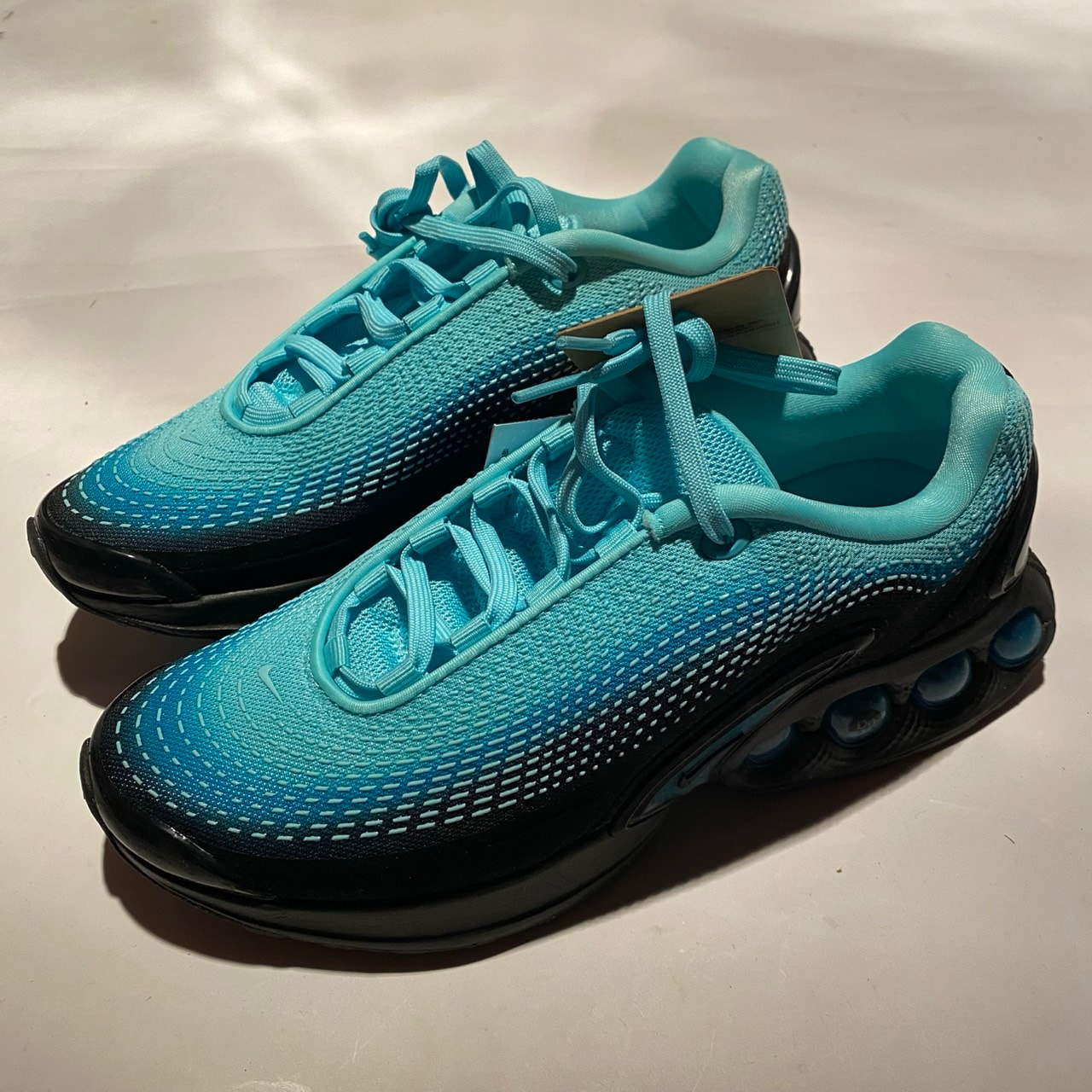 Nike Women's Air Max DN PRM "Dusty Cactus/Light Aqua"