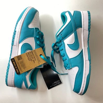 Nike Women's Dunk Low Next Nature "Dusty Cactus"