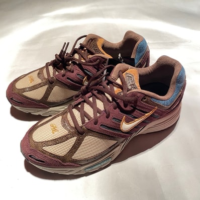 Nike Women's Air Pegasus 2K5 "Light Orewood Brown/Baroque Brown/Sail"