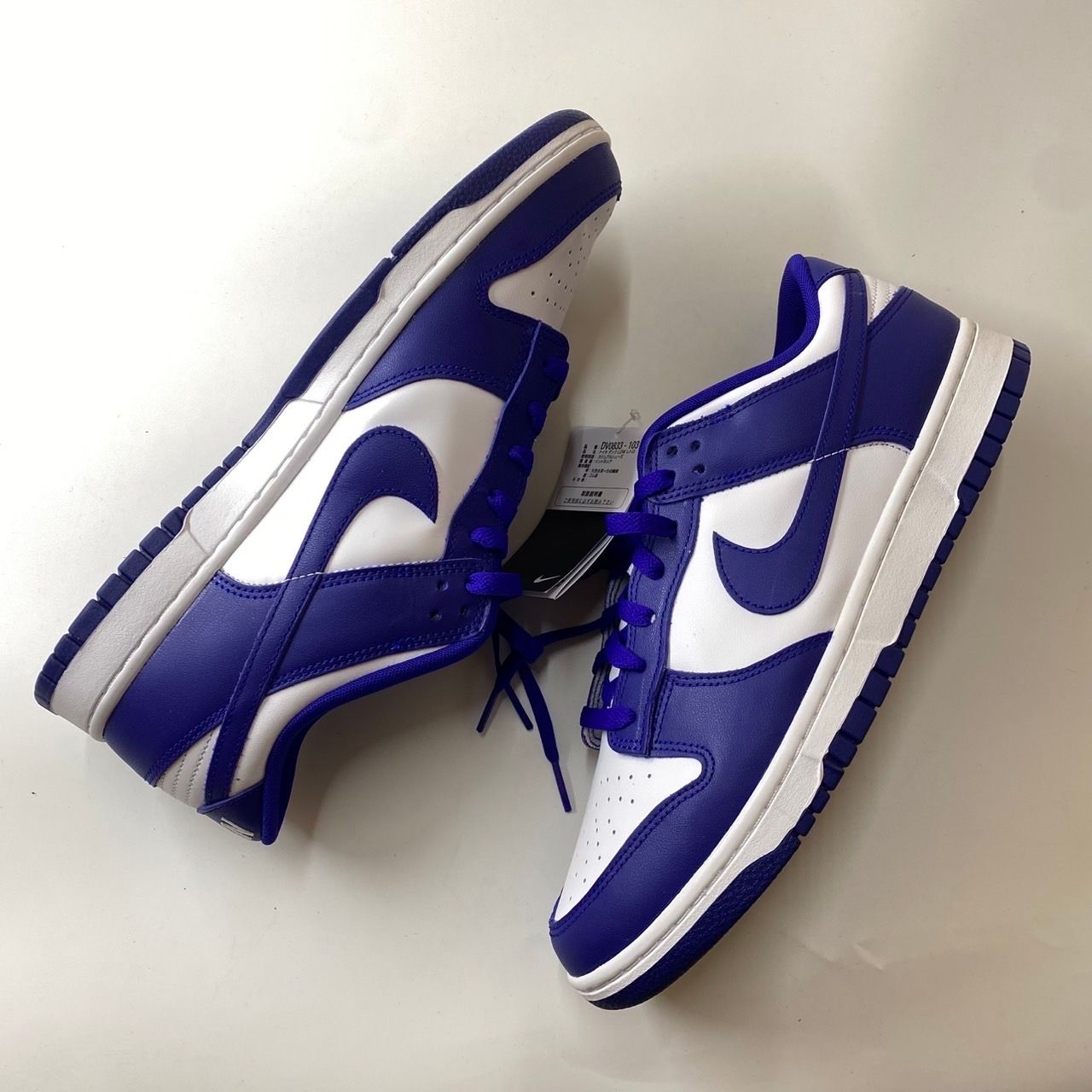 Nike Dunk Low Retro "Concord"