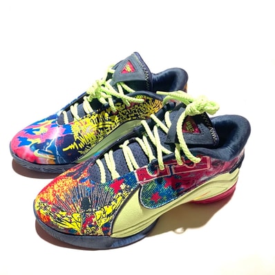 Nike LeBron 22 "Bryce’s World" (HV8451-400/HV8452-400)