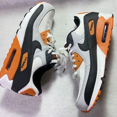 Nike Air Max 90 "Pure Platinum/Summit White/Black/Monarch"