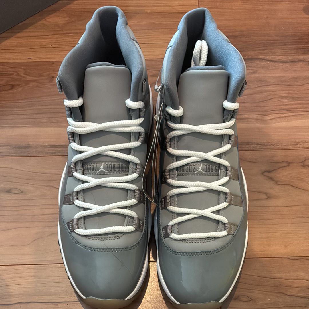 Nike Air Jordan 11 Retro "Cool Grey" (2010)