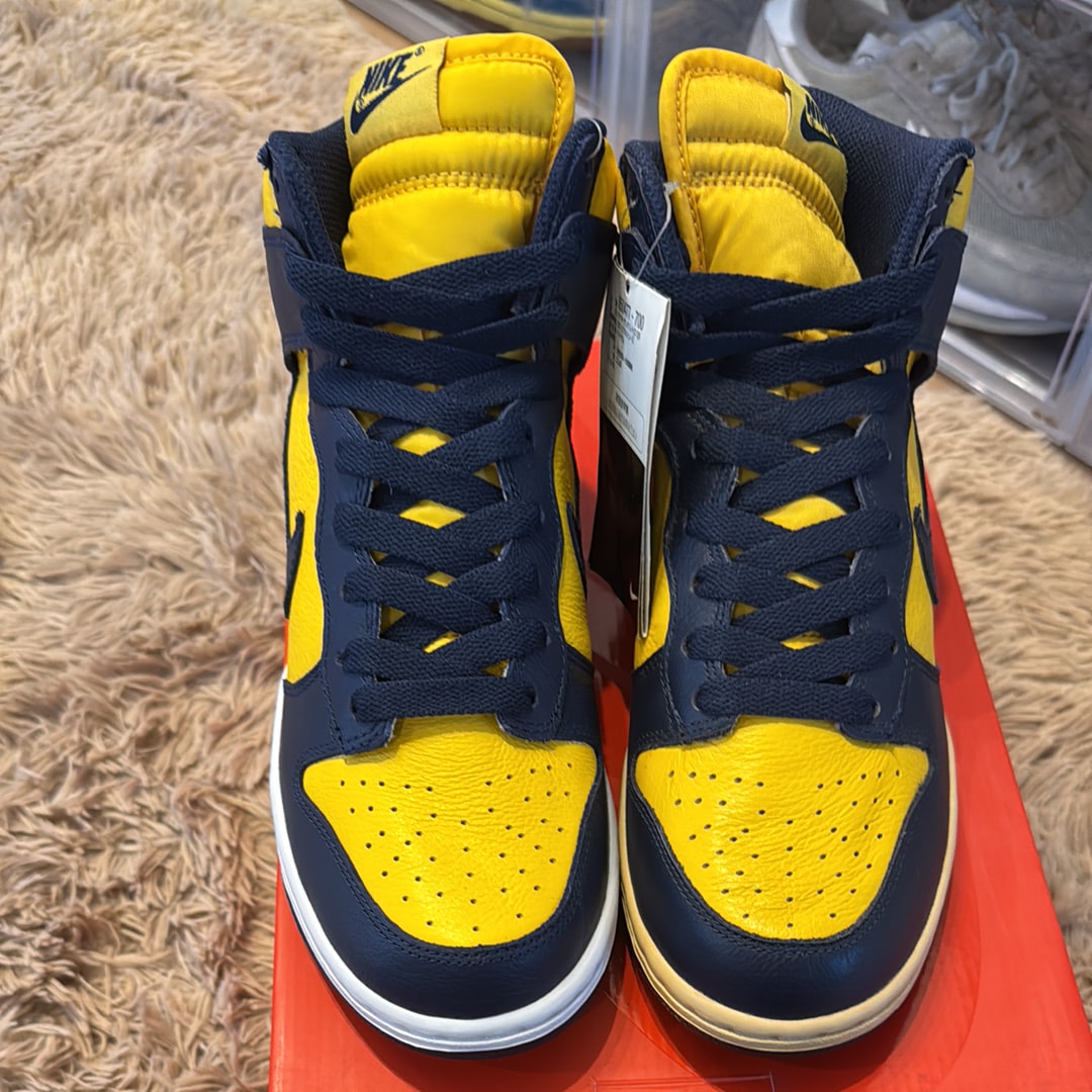 Nike Dunk High "Michigan" (2016)