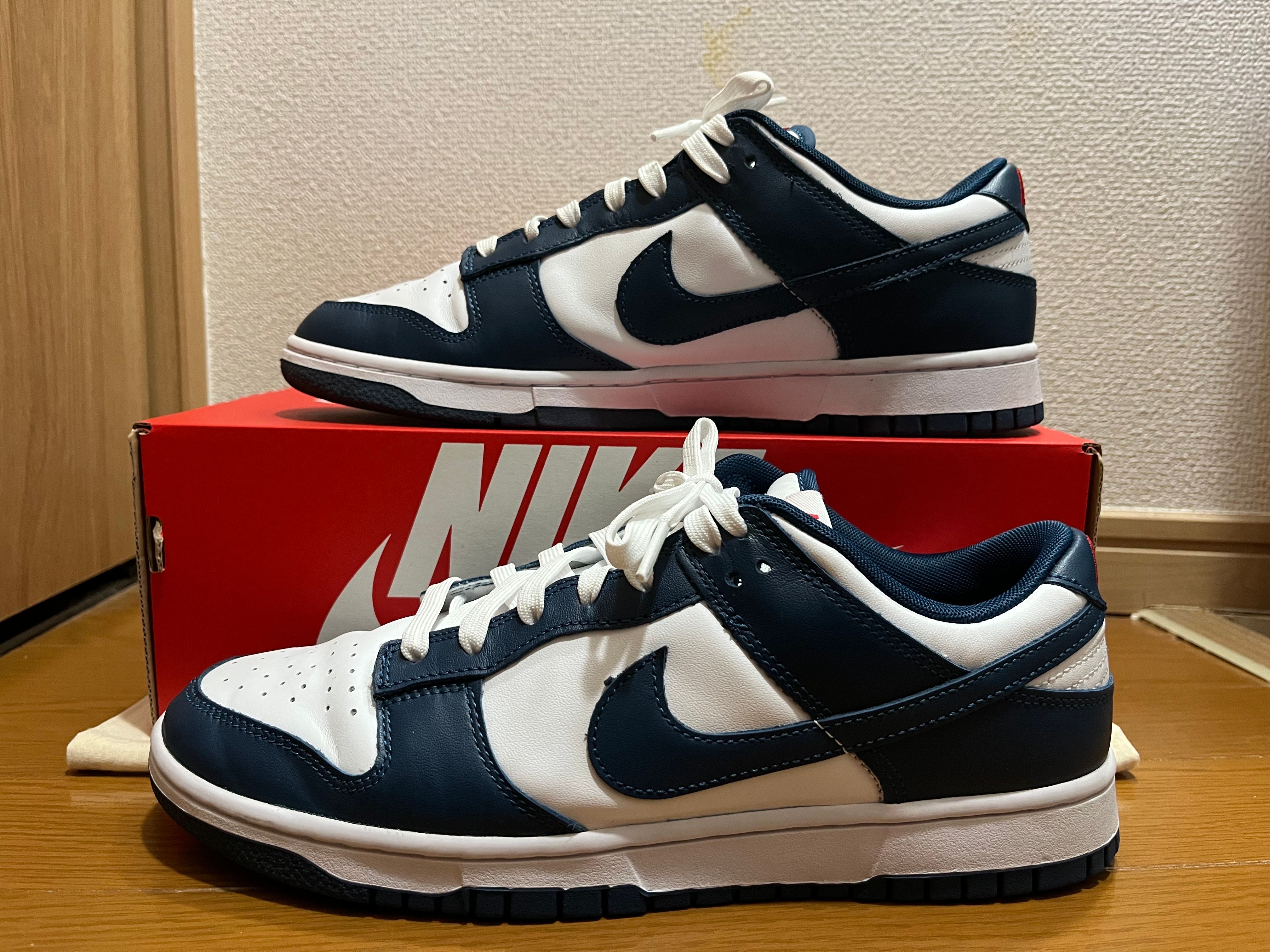 Nike Dunk Low "Valerian Blue"