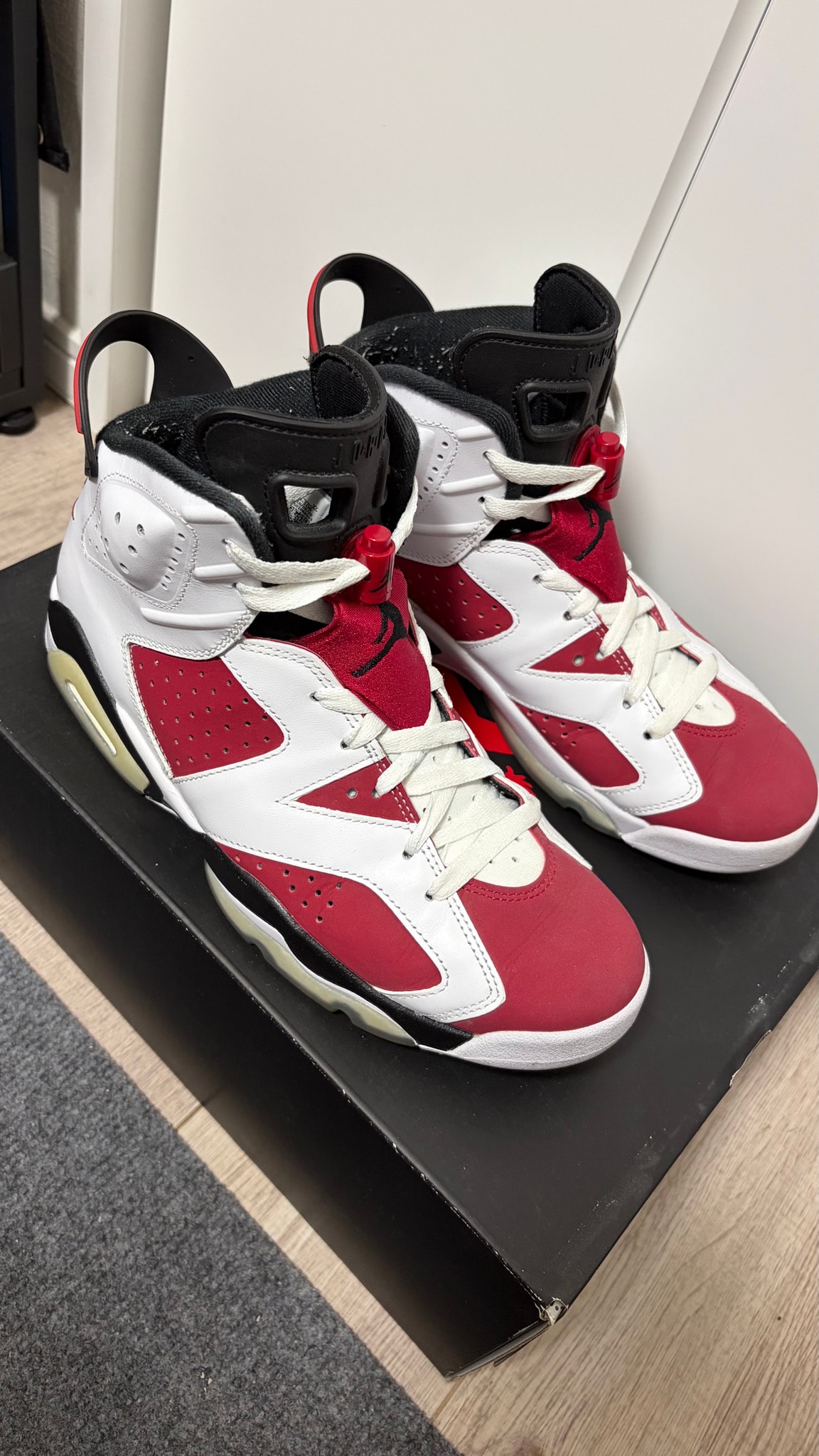Nike Air Jordan 6 "Carmine" (2021)