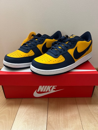 Nike Terminator Low "University Gold and Navy/Michigan"