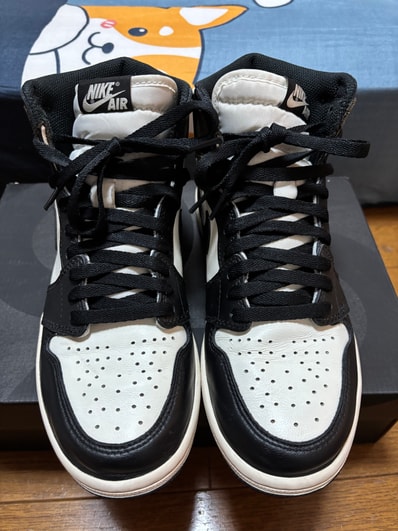 Nike Air Jordan 1 High OG "Sail/Dark Mocha/Black"
