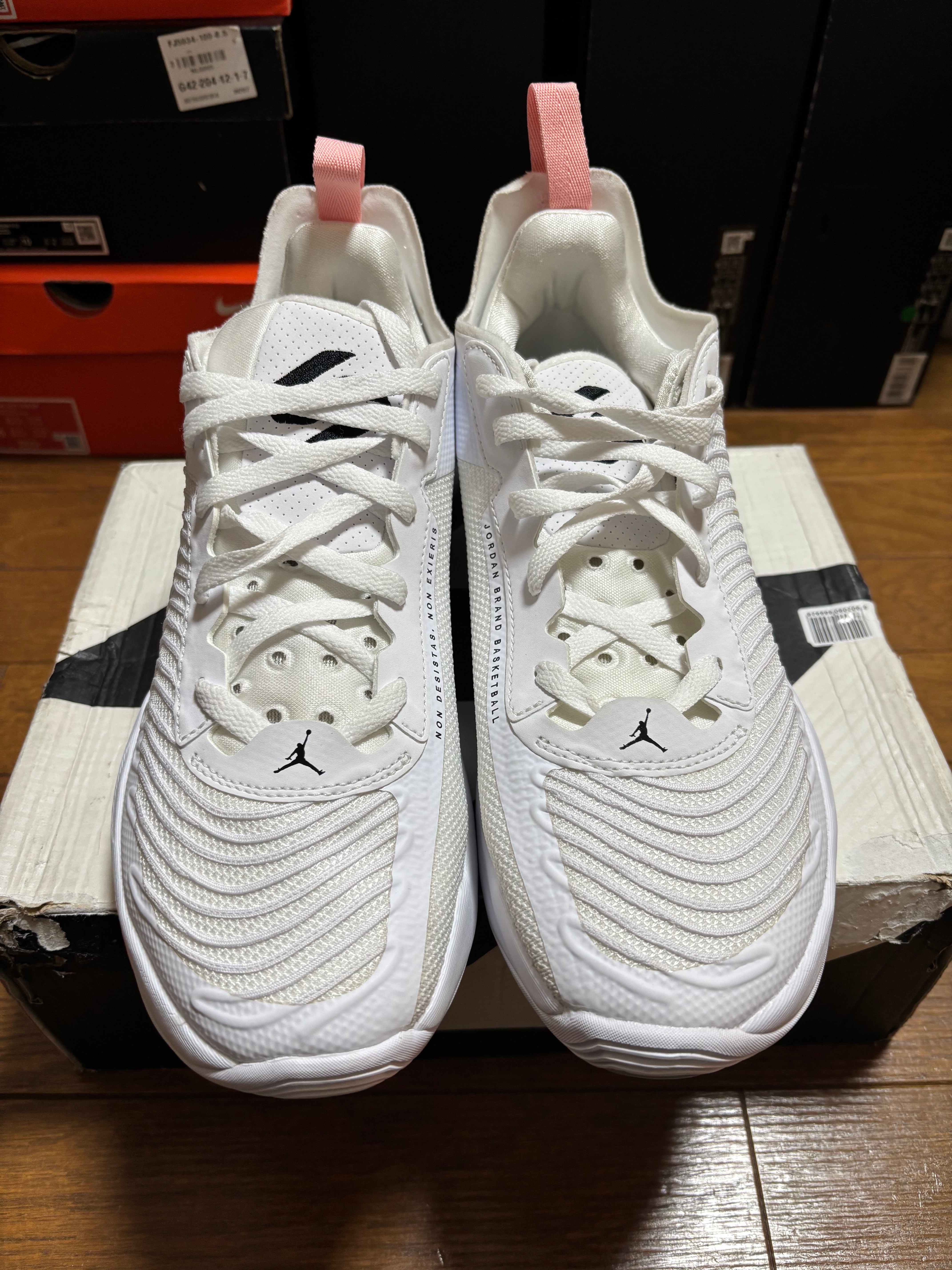 ナイキ ジョーダン ルカ1 