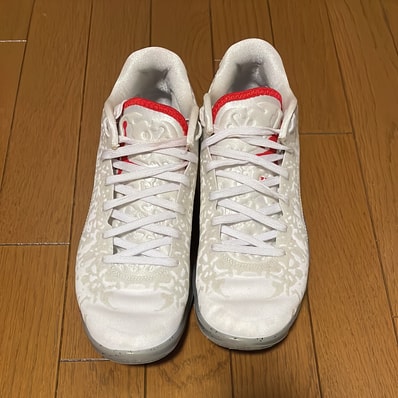 Nike Jordan Zion 3 "Fresh Paint"